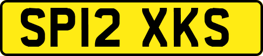 SP12XKS
