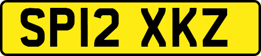 SP12XKZ