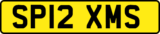 SP12XMS