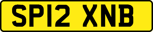 SP12XNB