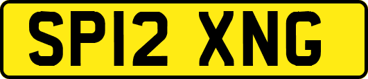 SP12XNG