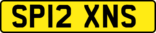 SP12XNS