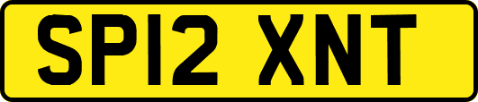SP12XNT