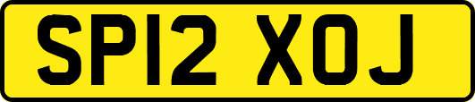 SP12XOJ