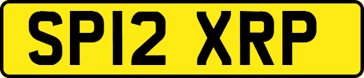 SP12XRP