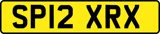 SP12XRX