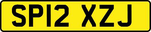 SP12XZJ