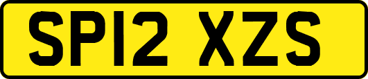 SP12XZS