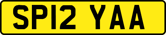 SP12YAA