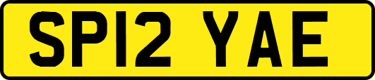 SP12YAE