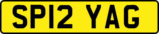 SP12YAG