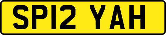 SP12YAH