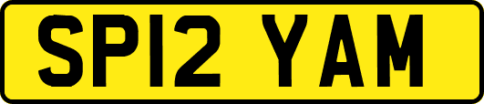 SP12YAM