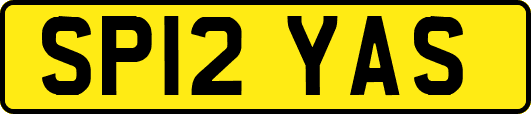 SP12YAS