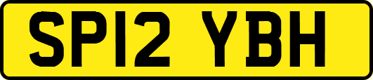 SP12YBH