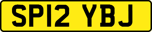 SP12YBJ
