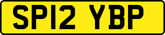 SP12YBP