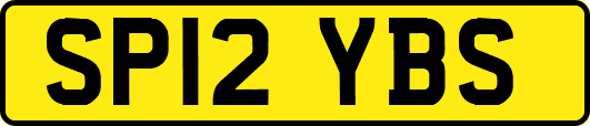 SP12YBS
