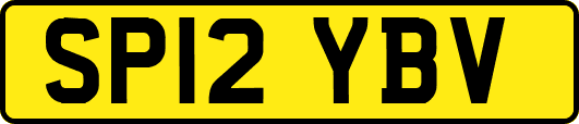 SP12YBV