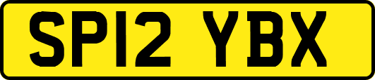 SP12YBX