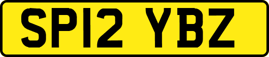SP12YBZ