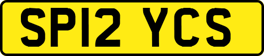 SP12YCS
