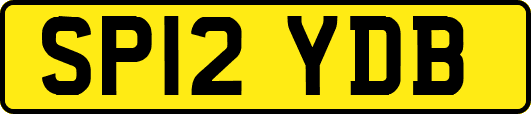 SP12YDB