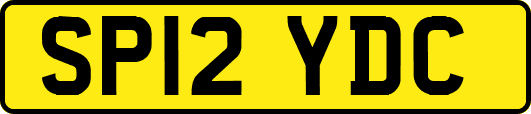 SP12YDC