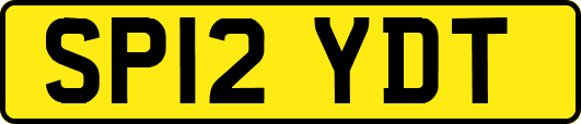 SP12YDT