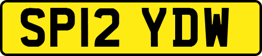 SP12YDW