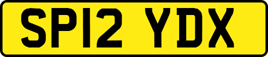 SP12YDX