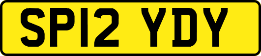 SP12YDY