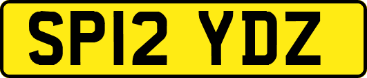SP12YDZ