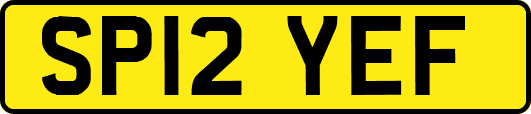 SP12YEF