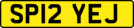 SP12YEJ