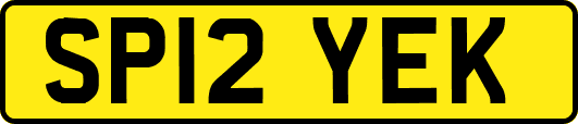 SP12YEK