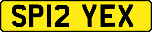SP12YEX