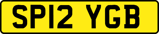 SP12YGB