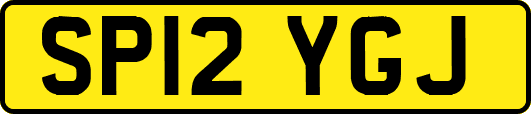 SP12YGJ