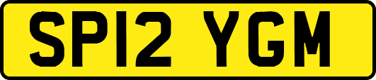 SP12YGM