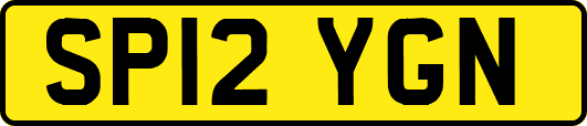 SP12YGN
