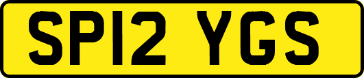 SP12YGS
