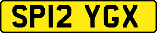 SP12YGX