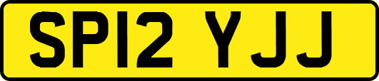 SP12YJJ