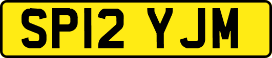 SP12YJM