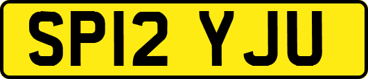 SP12YJU