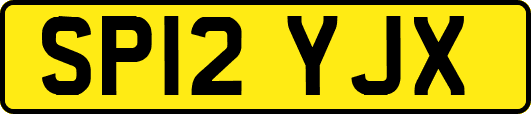SP12YJX
