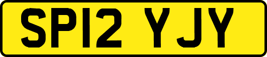 SP12YJY