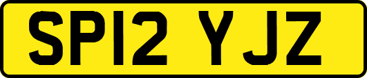 SP12YJZ