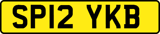 SP12YKB